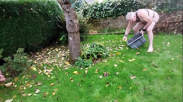 Suite du ramassage de pommes.