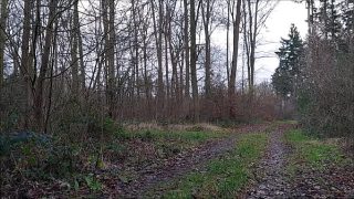 naked pathetic slave exposed in penis cage outdoor, hiking in public wood, BDSM