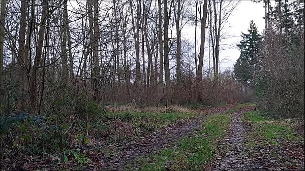 naked pathetic slave exposed in penis cage outdoor, hiking in public wood, BDSM